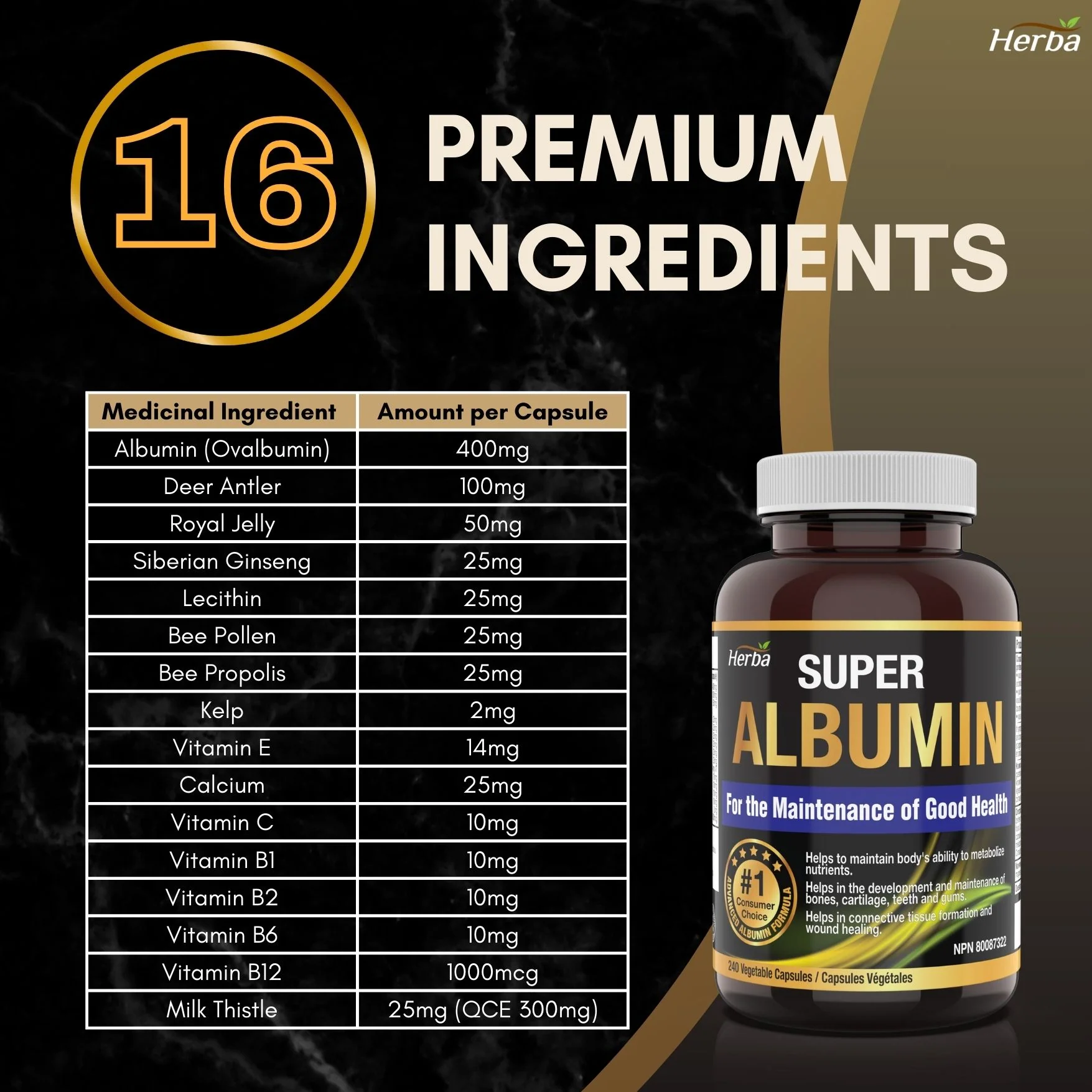 Albumin Protein Supplement – 240 Vegetable Capsules | Albumin Capsules with 16 Premium Ingredients - Image 3