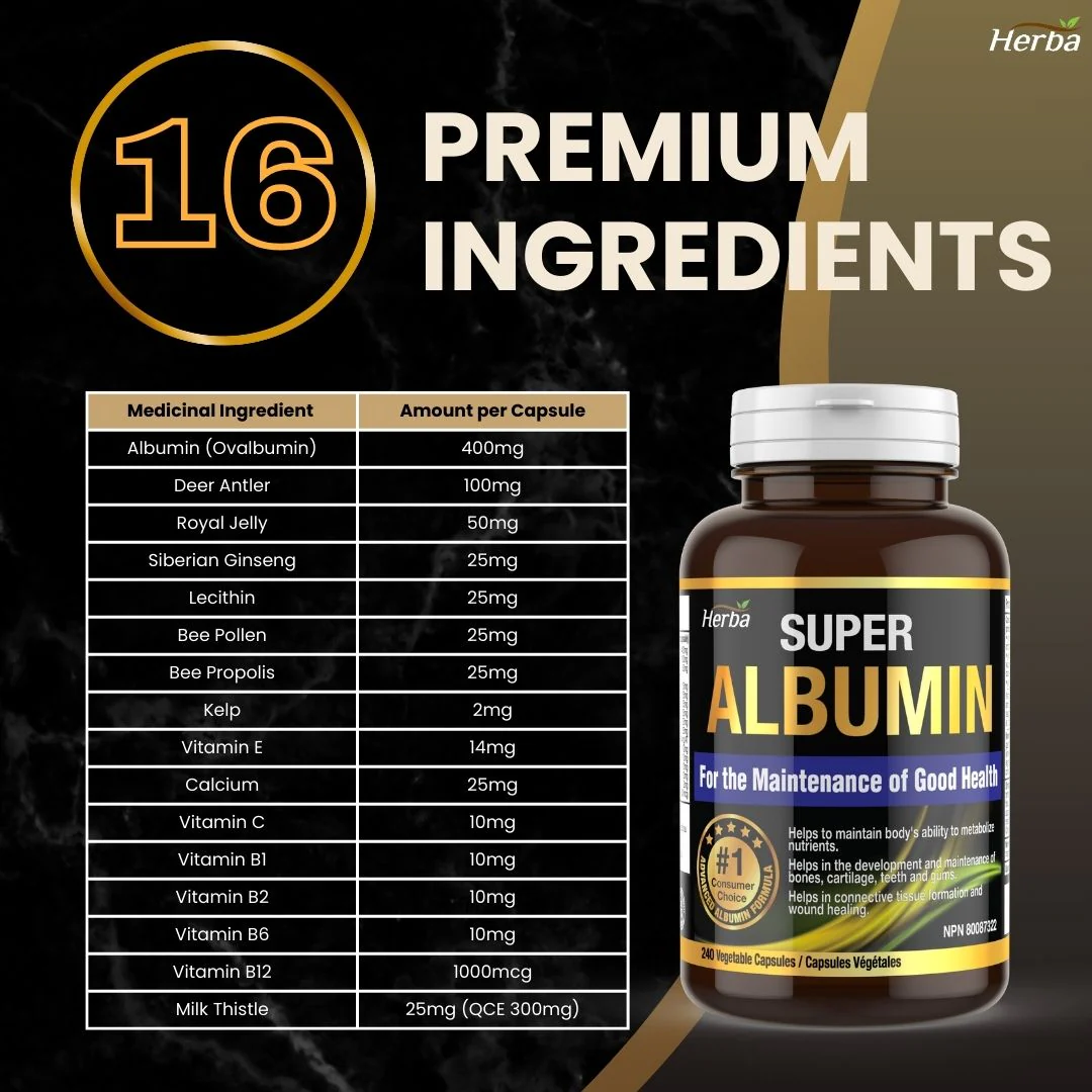 Albumin Protein Supplement – 240 Vegetable Capsules | Albumin Capsules with 16 Premium Ingredients - Image 5