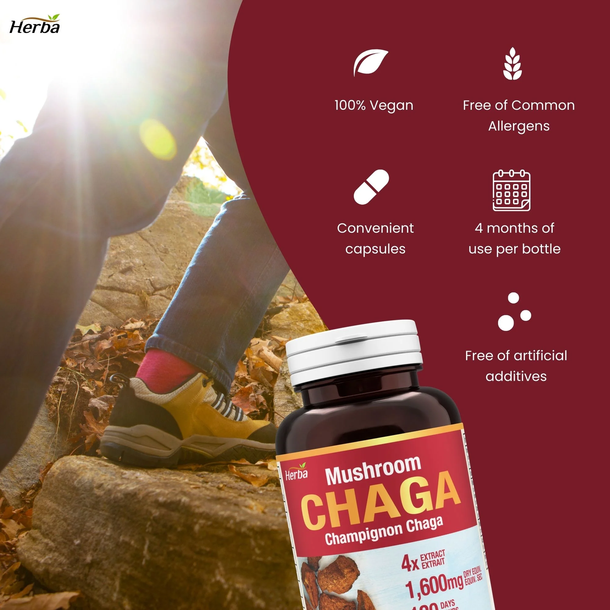 Chaga Mushroom Capsules 400mg - 120 Vegetable Capsules | 4:1 High Concentrate - Image 6