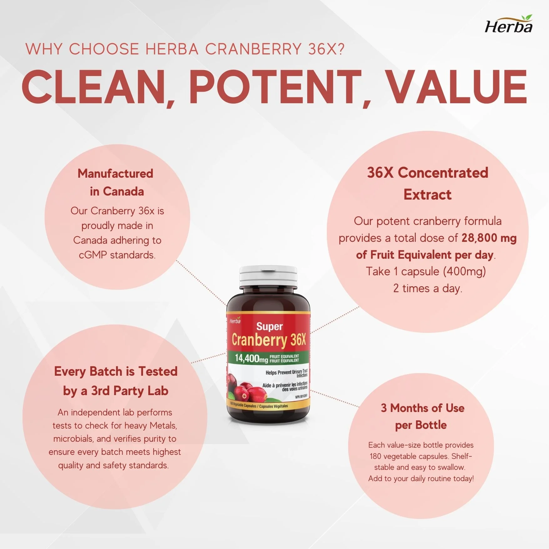 Cranberry Pills for Women and Men – 180 Cranberry Capsules | 28,800mg Per Day | 36:1 Concentration - Image 5