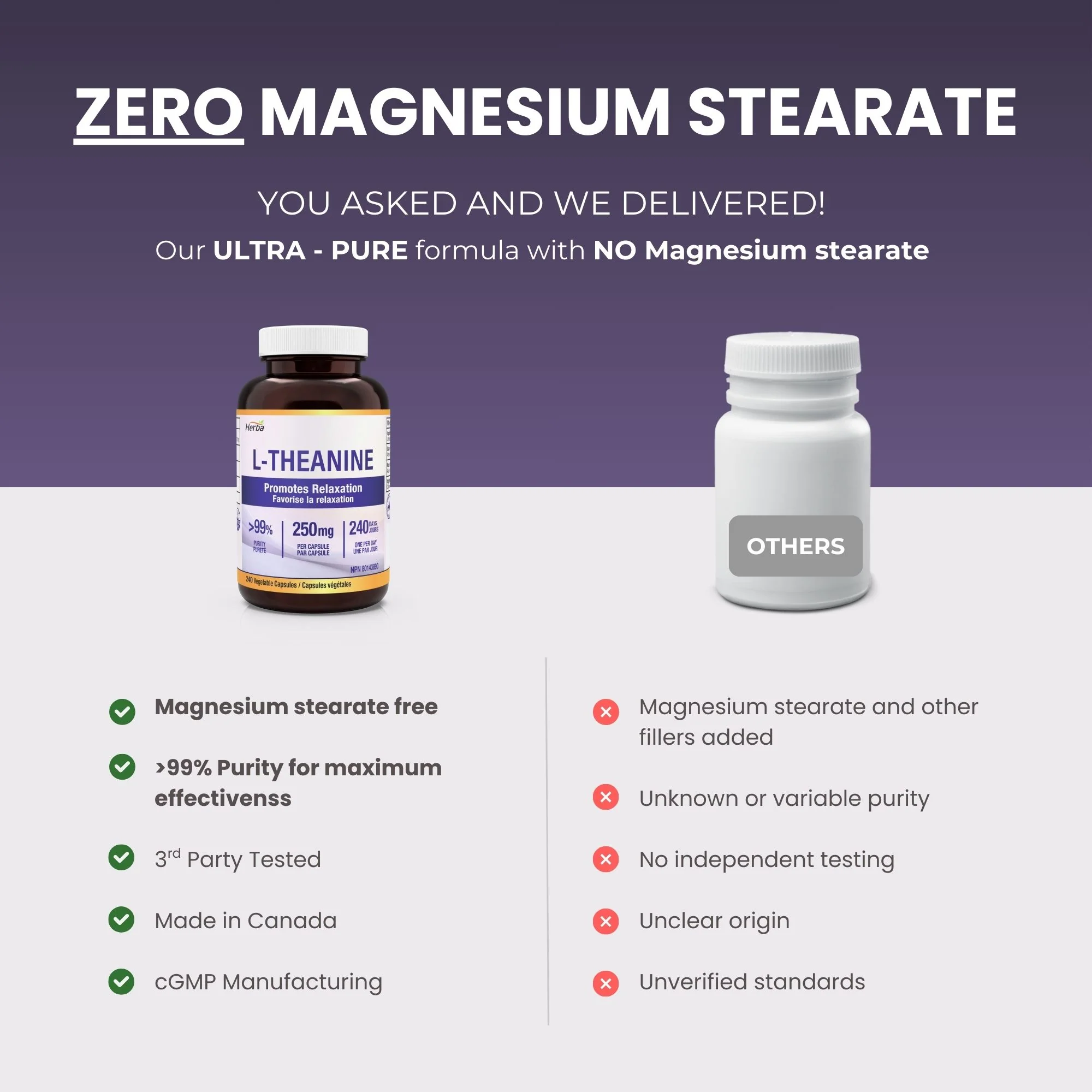 L-Theanine Supplement 250mg – 240 Capsules | Promotes Relaxation Without Drowsiness | 8 Month Supply | Made in Canada - Image 5