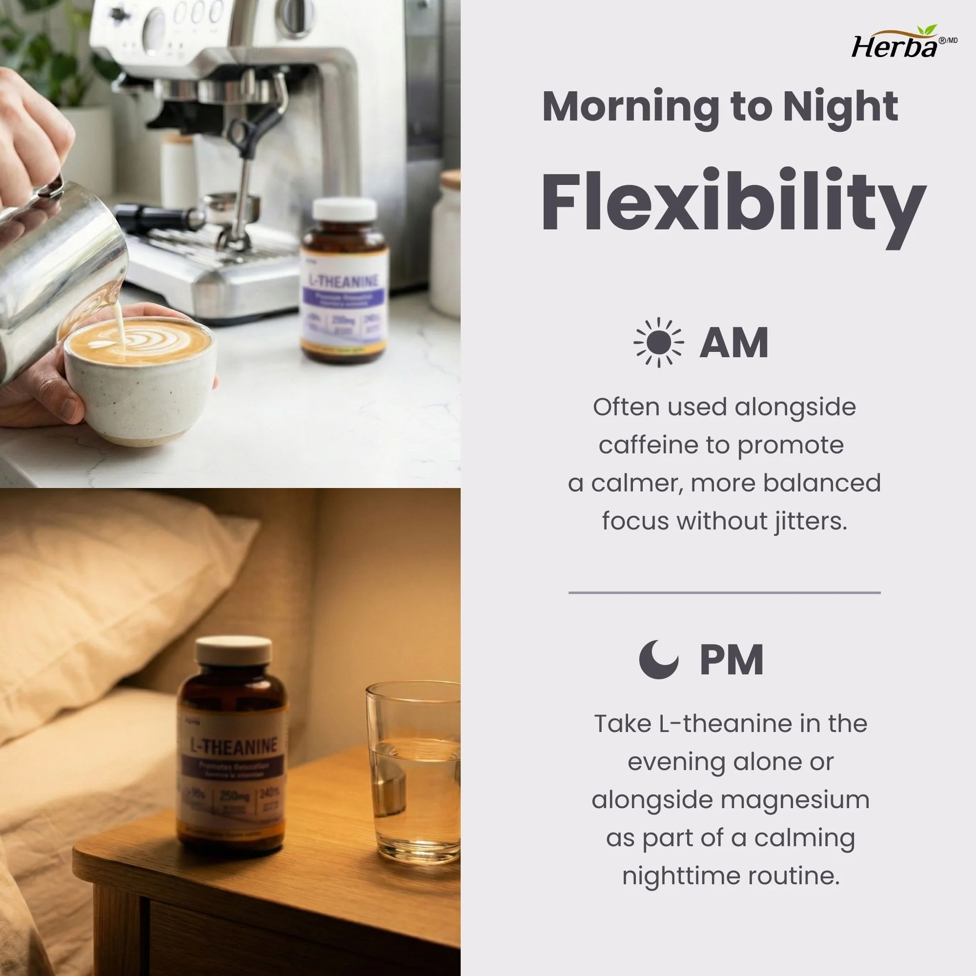 L-Theanine Supplement 250mg – 240 Capsules | Promotes Relaxation Without Drowsiness | 8 Month Supply | Made in Canada - Image 7