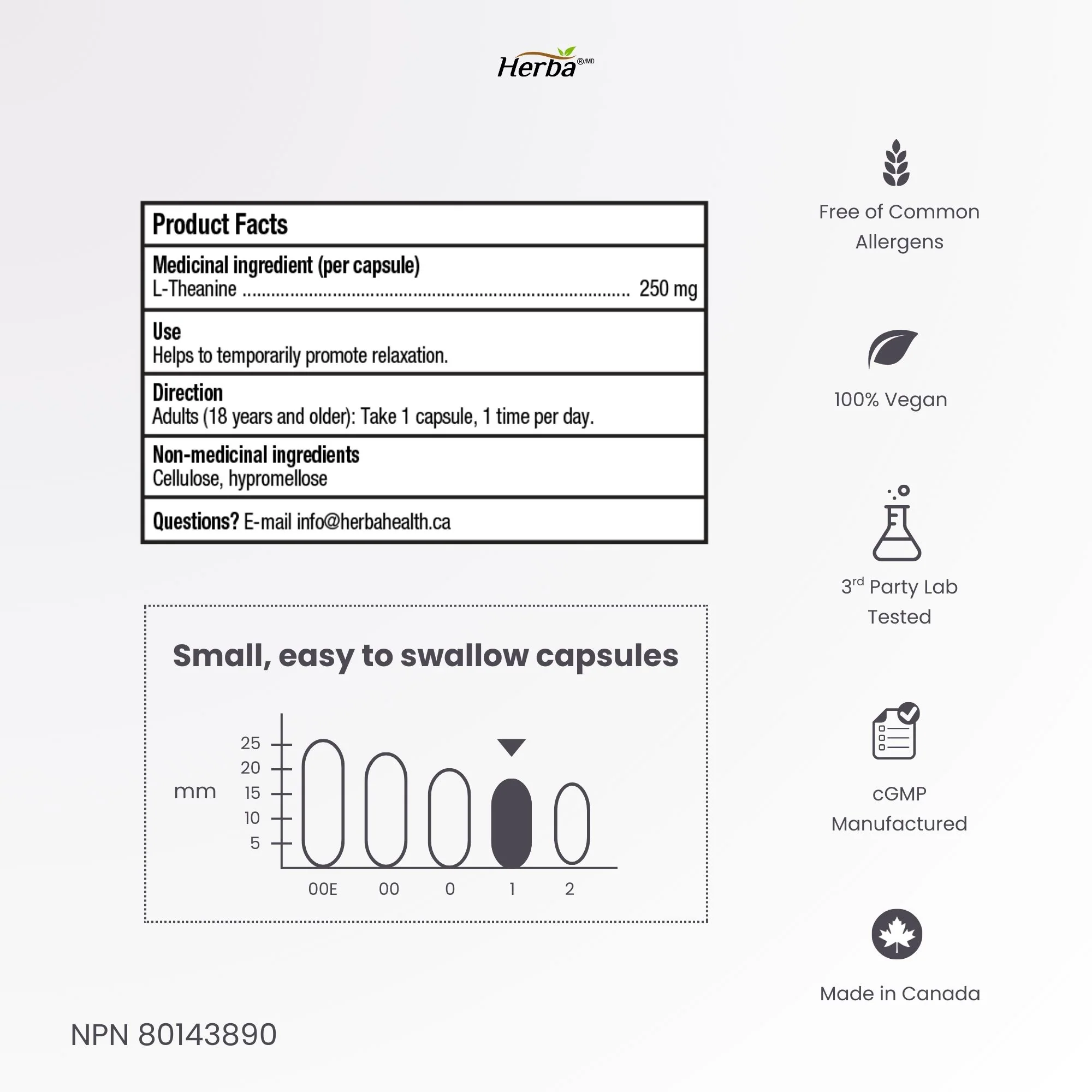 L-Theanine Supplement 250mg – 240 Capsules | Promotes Relaxation Without Drowsiness | 8 Month Supply | Made in Canada - Image 9