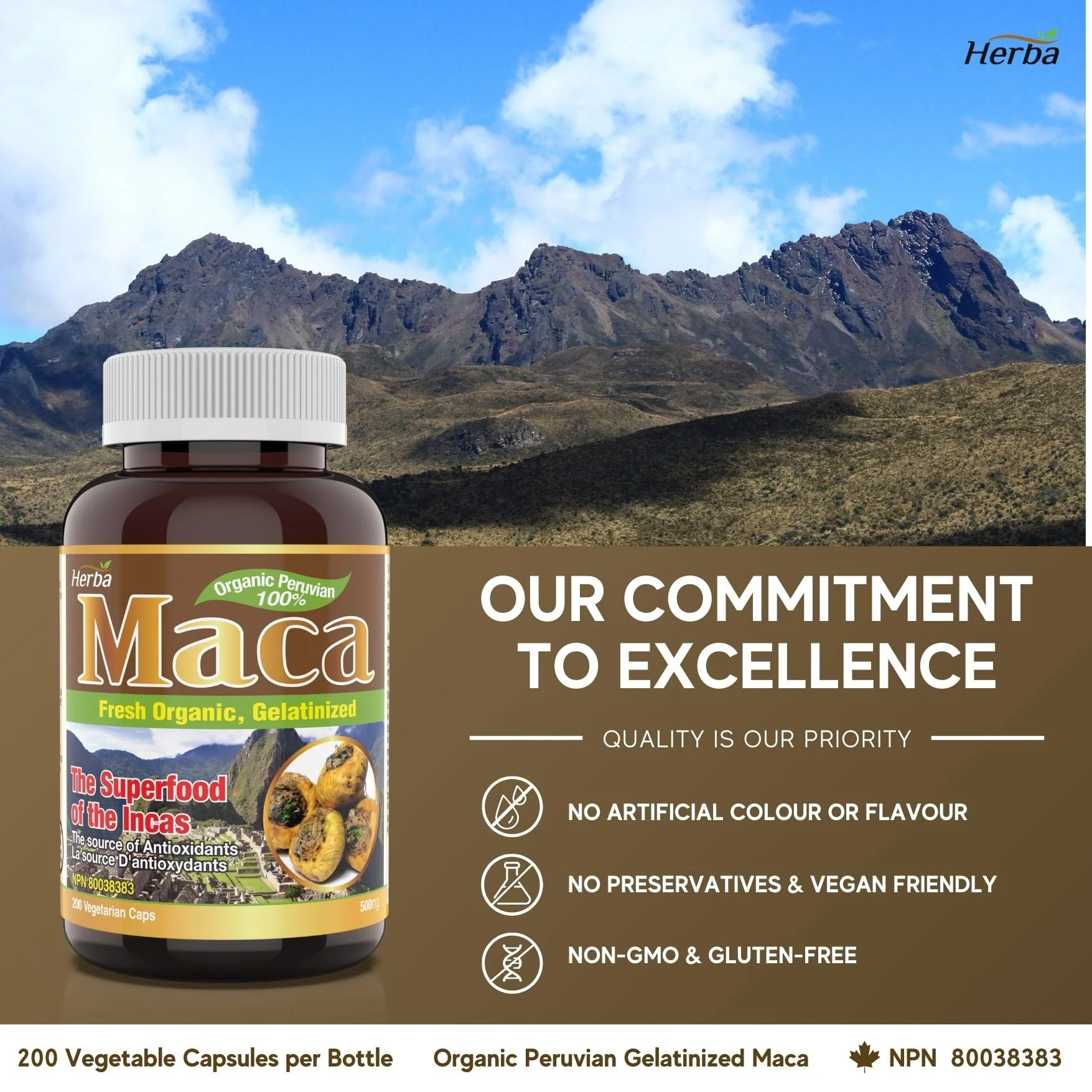 Organic Peruvian Maca Capsules - 500mg, 200 Capsules - Image 6