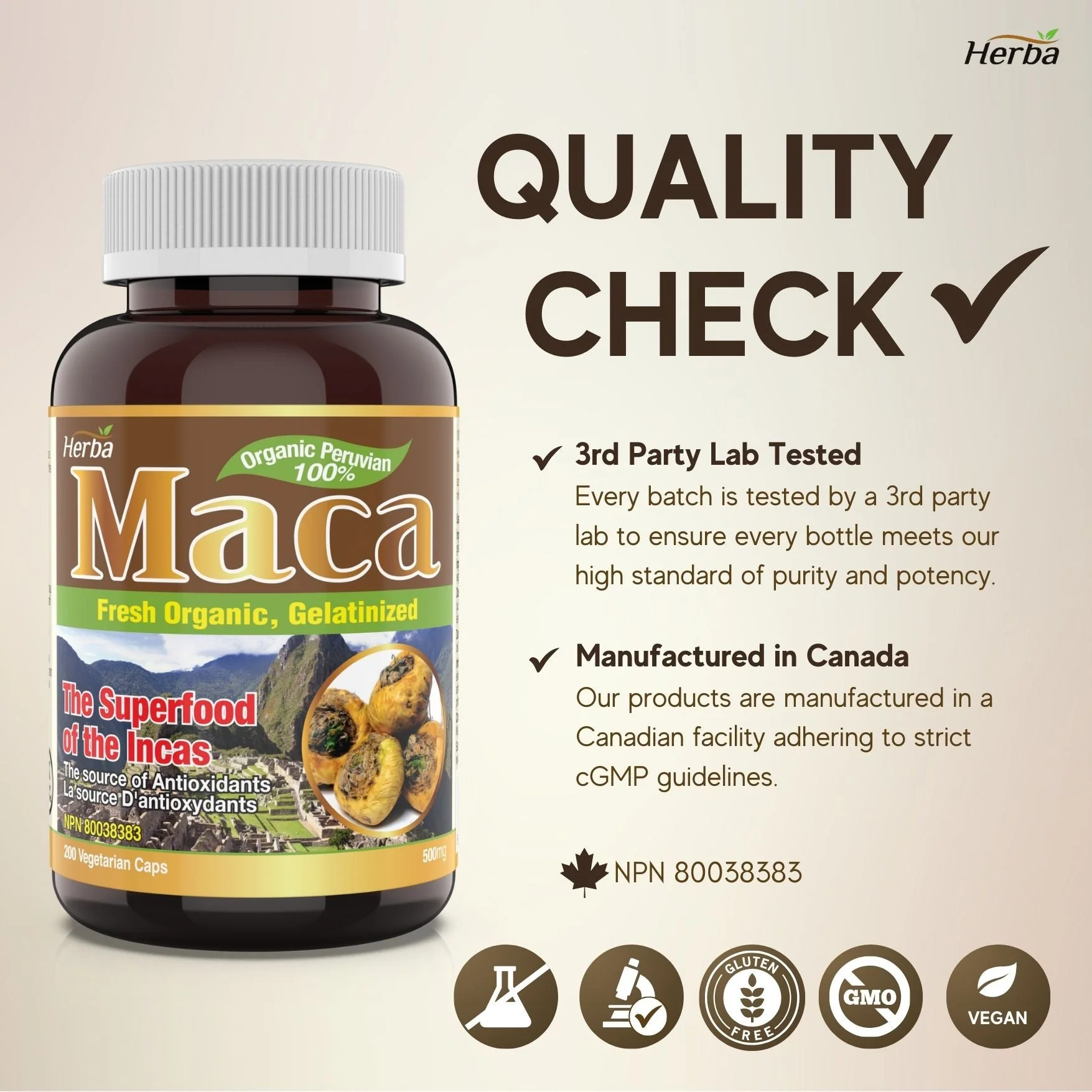 Organic Peruvian Maca Capsules - 500mg, 200 Capsules - Image 8