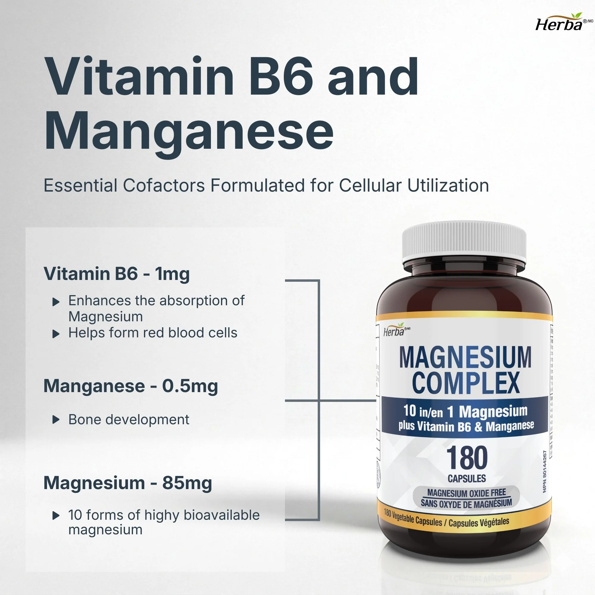 Magnesium Complex 10 in 1 – 180 Capsules | Magnesium Oxide Free | Made in Canada - Image 7