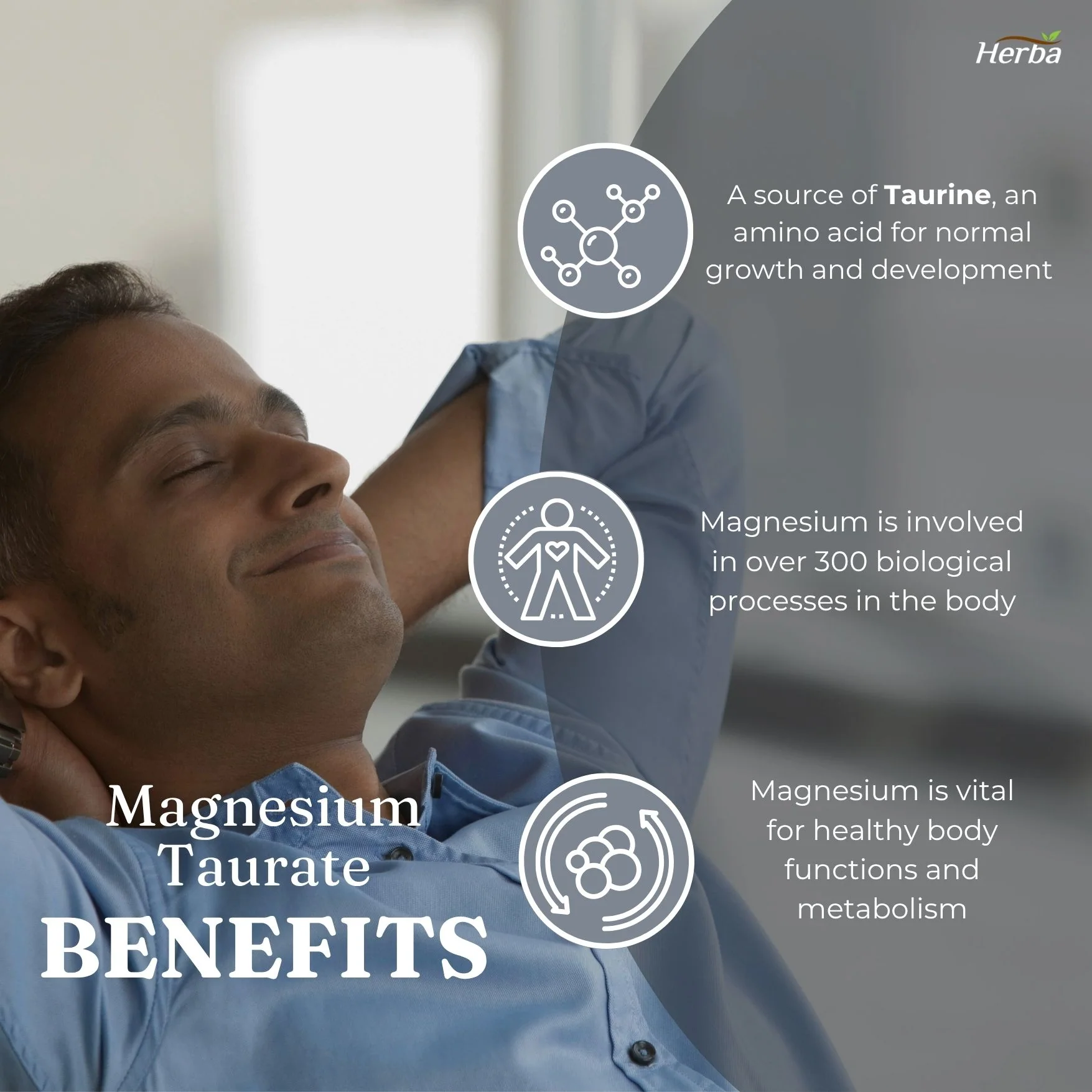 Magnesium Taurate Supplement 500mg - 180 Capsules | Made in Canada - Image 6