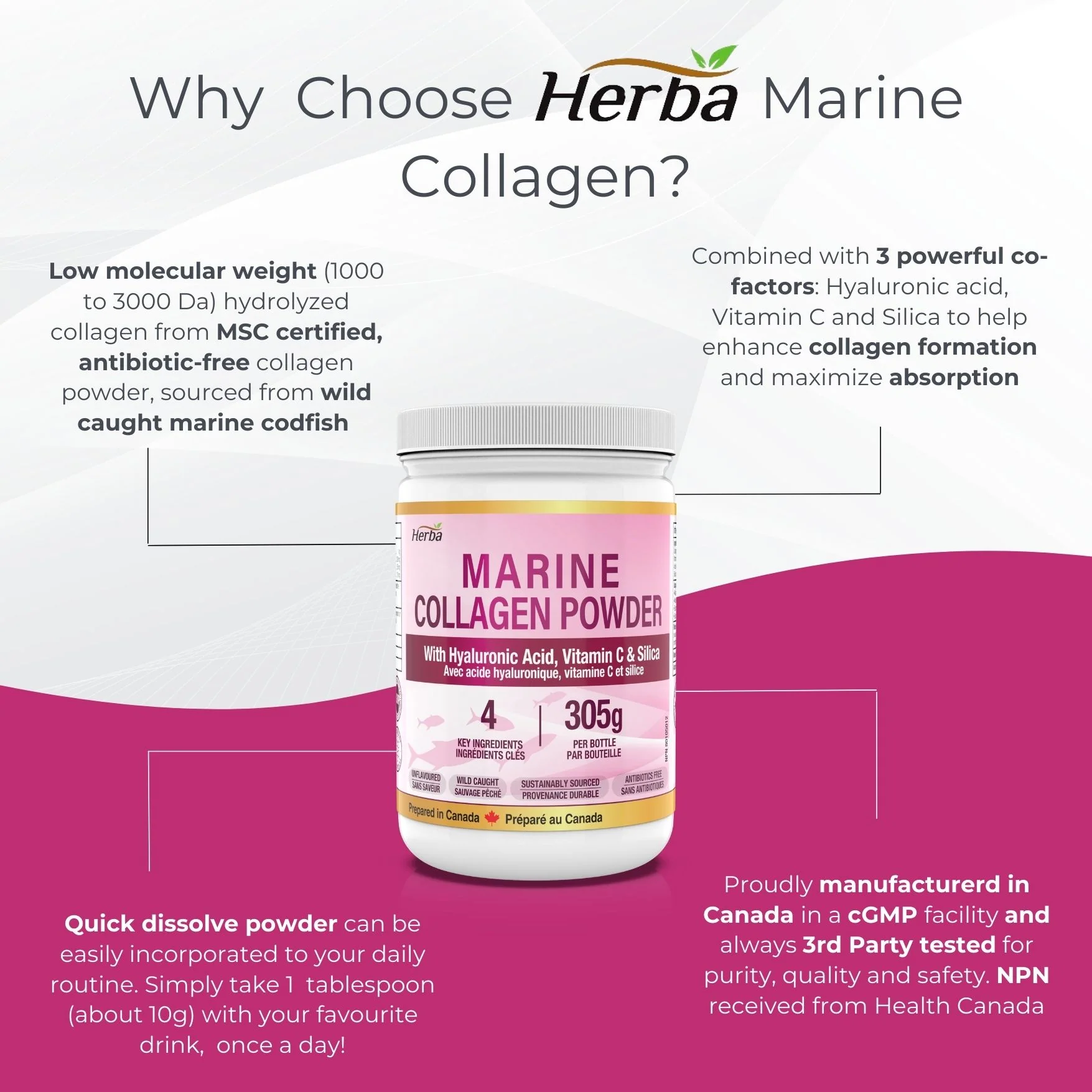 Marine Collagen Powder with Hyaluronic Acid, Silica, and Vitamin C – 305g | Made in Canada - Image 5