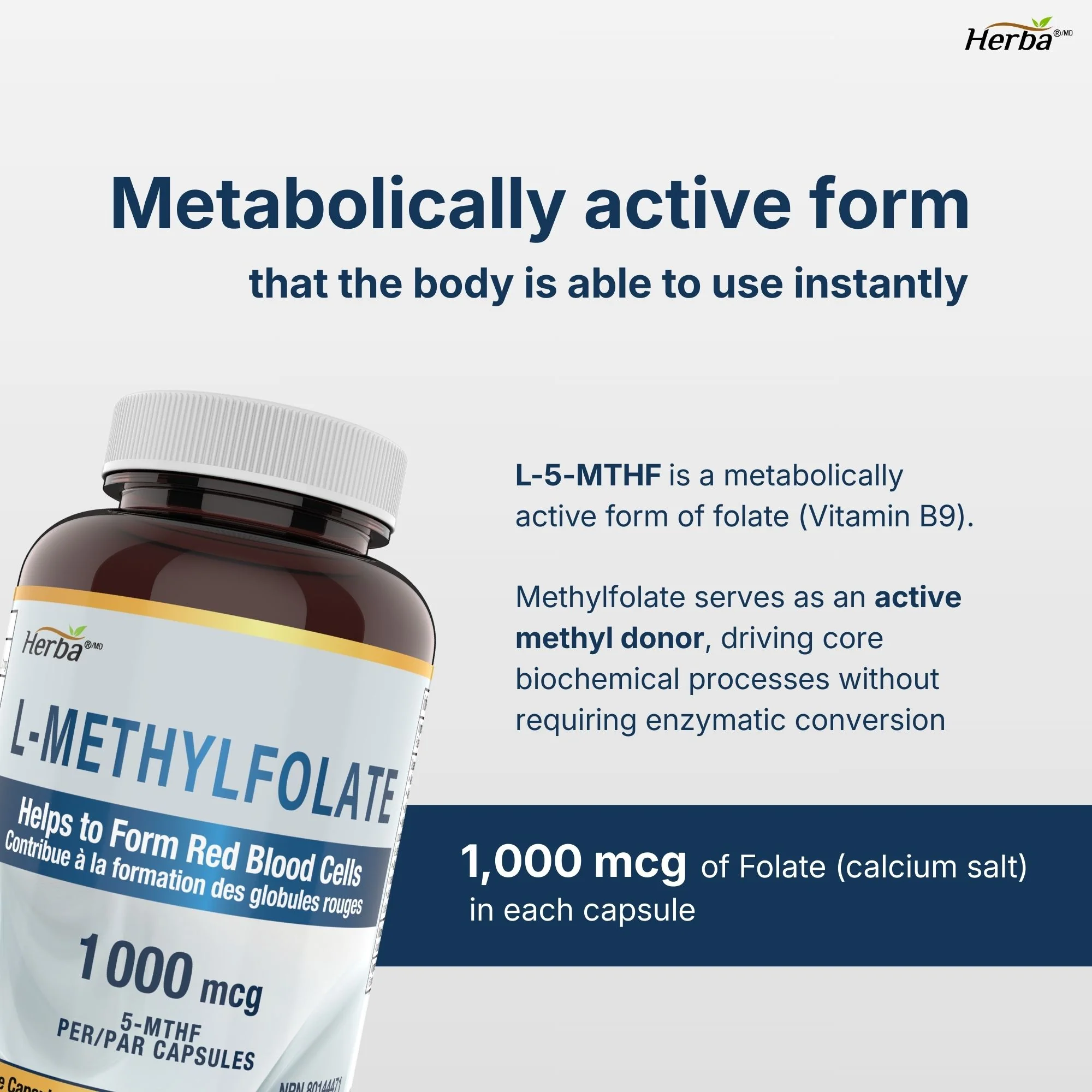 L-Methylfolate 1000mcg - 180 Capsules | Vitamin B9 5-MTHF Folate Supplement | Made in Canada - Image 4
