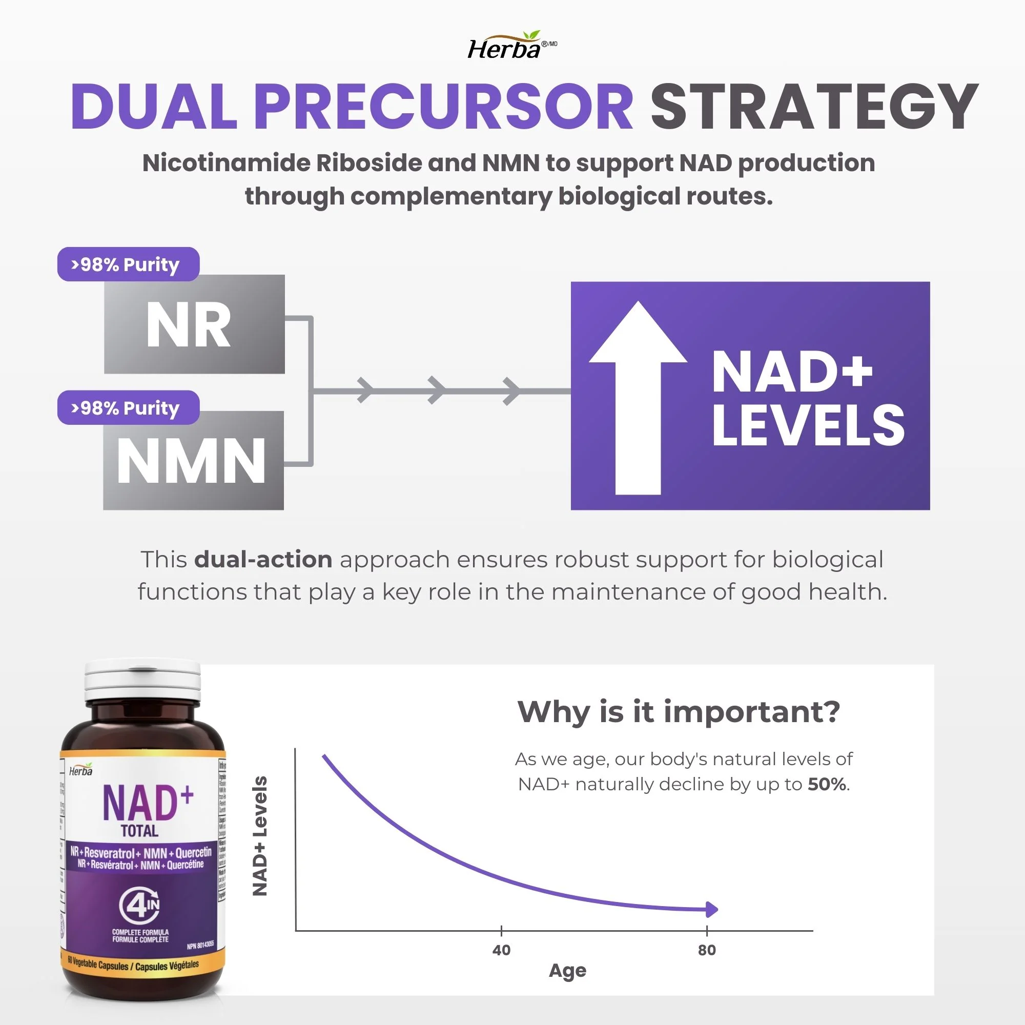 NAD+ Supplement 550mg – 60 Capsules | 4-in-1 NAD Plus Total with Nicotinamide Riboside (NR), β-NMN, Resveratrol & Quercetin | Made in Canada - Image 4