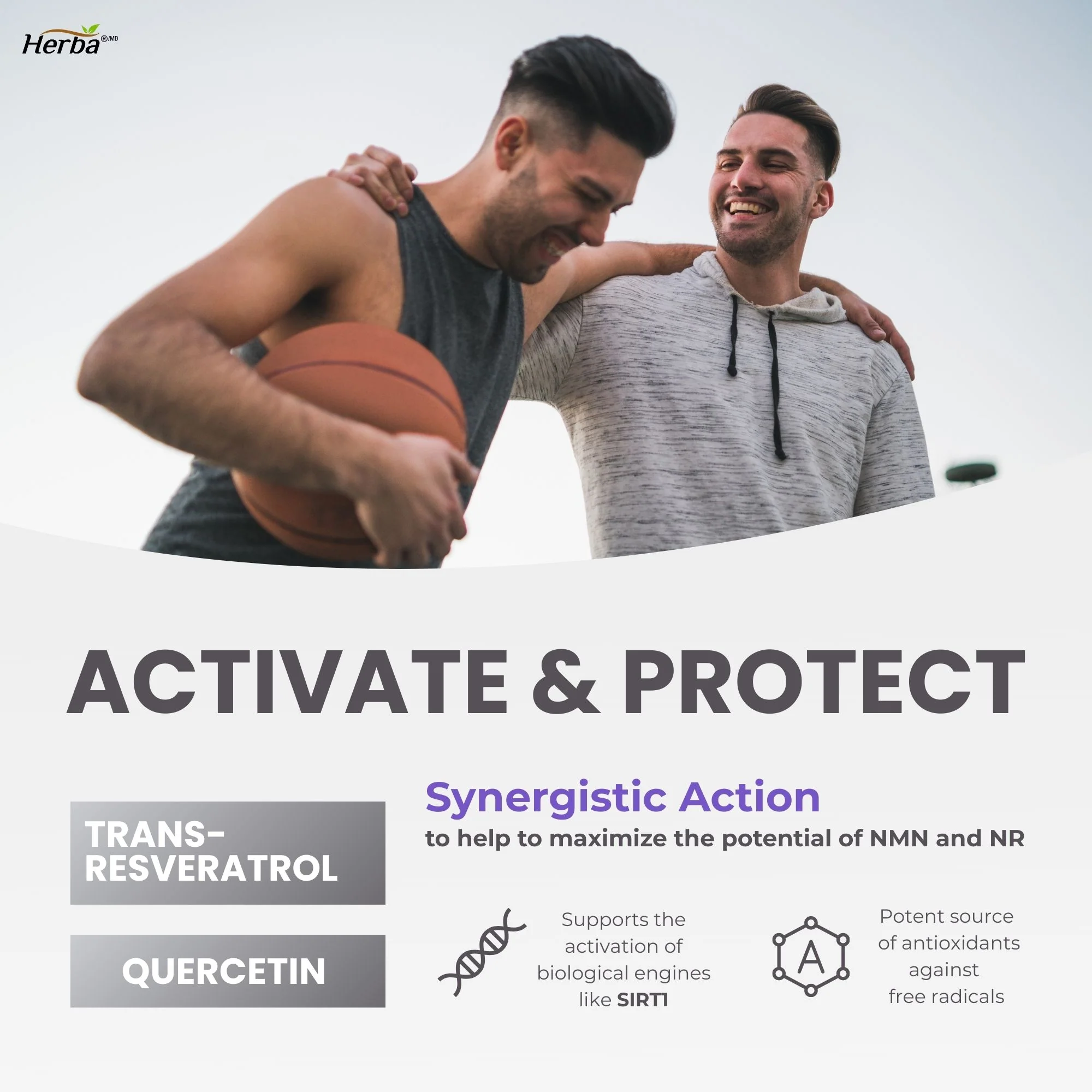 NAD+ Supplement 550mg – 60 Capsules | 4-in-1 NAD Plus Total with Nicotinamide Riboside (NR), β-NMN, Resveratrol & Quercetin | Made in Canada - Image 5