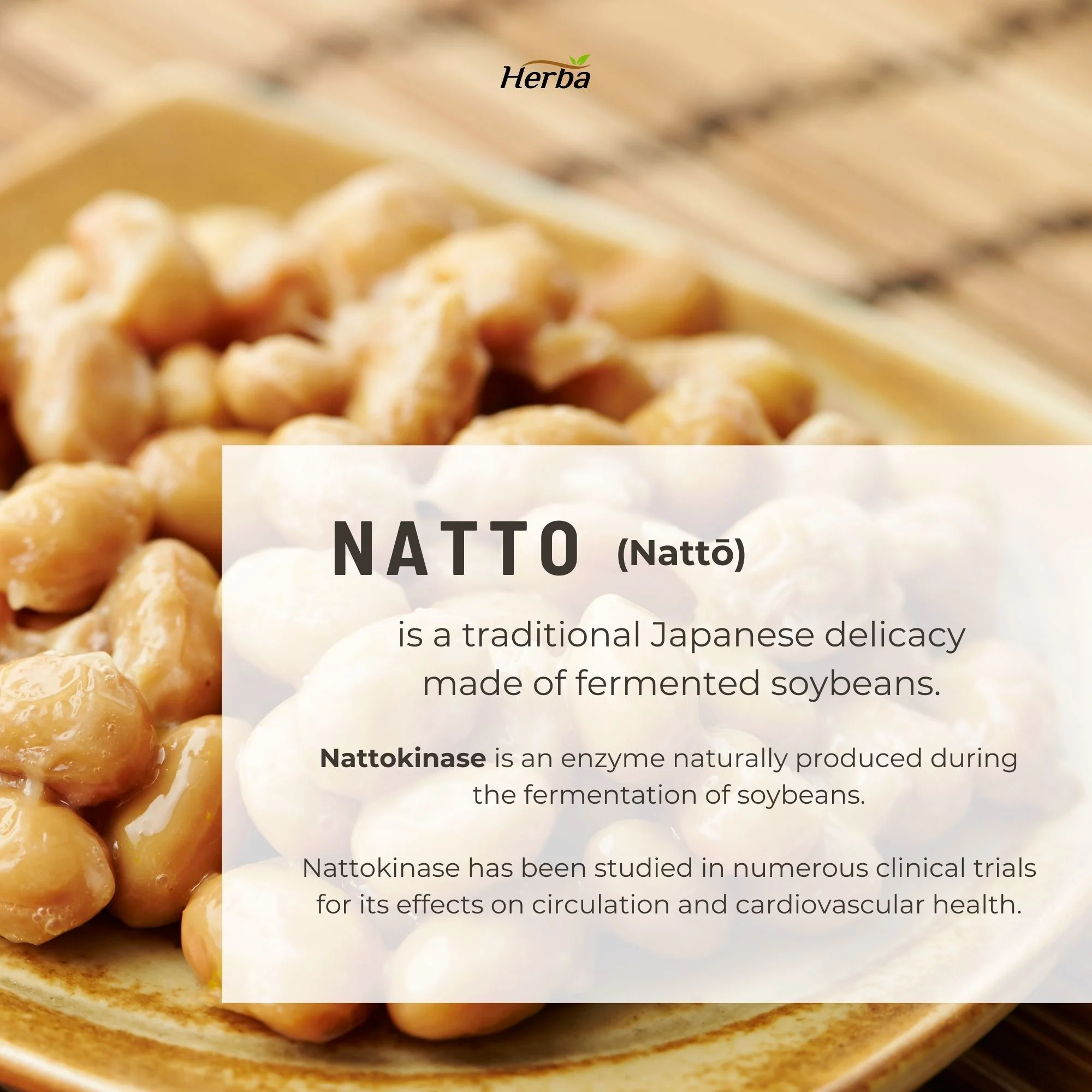 Nattokinase Supplement 2000 FU – 100mg, 120 Delayed Release Capsules - Image 6