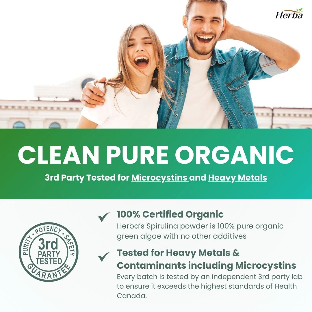 Organic Spirulina Powder 250g - 100% Organic & Made in Canada - Image 6