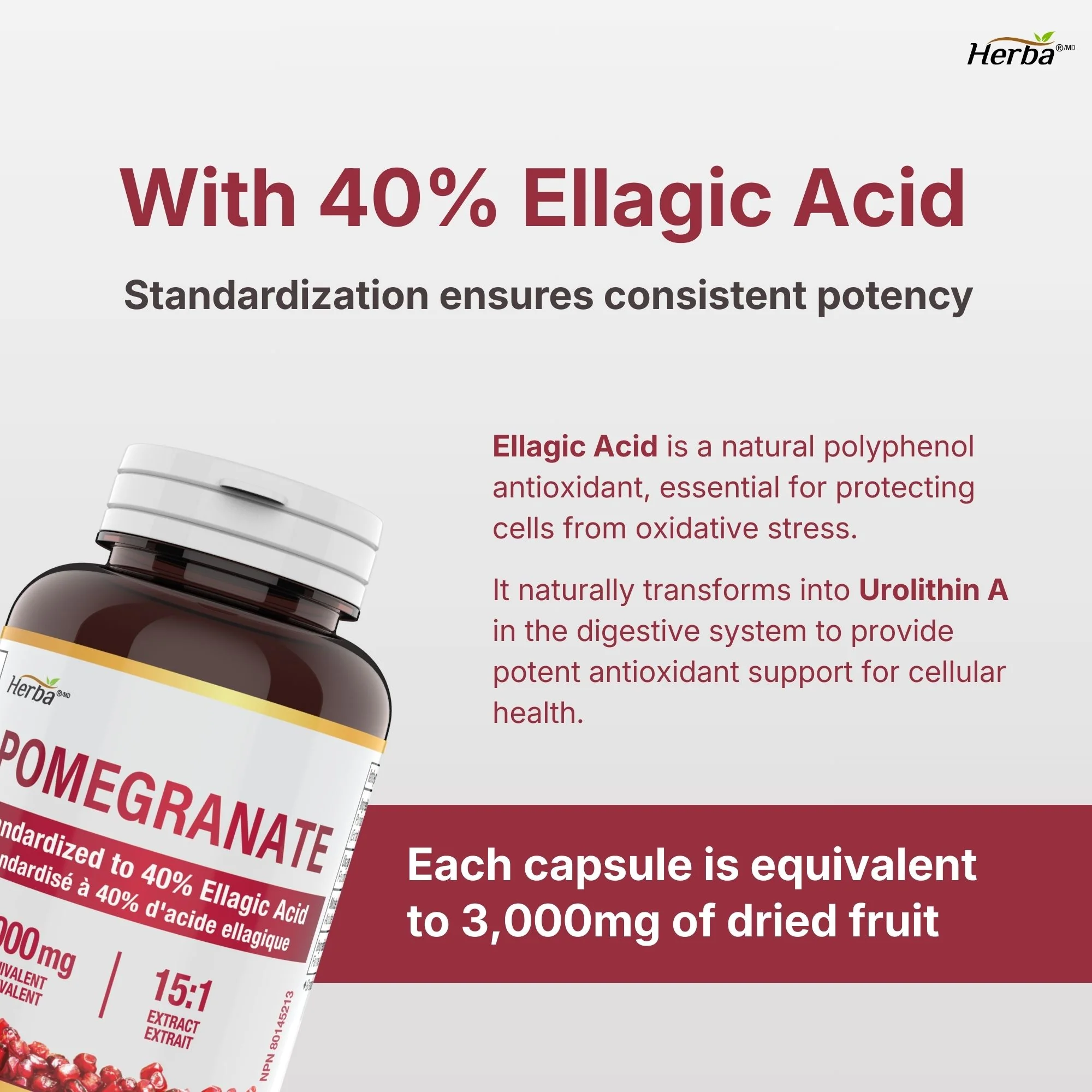 Pomegranate Supplement 3000mg – 180 Capsules | 40% Ellagic Acid | Made in Canada - Image 4