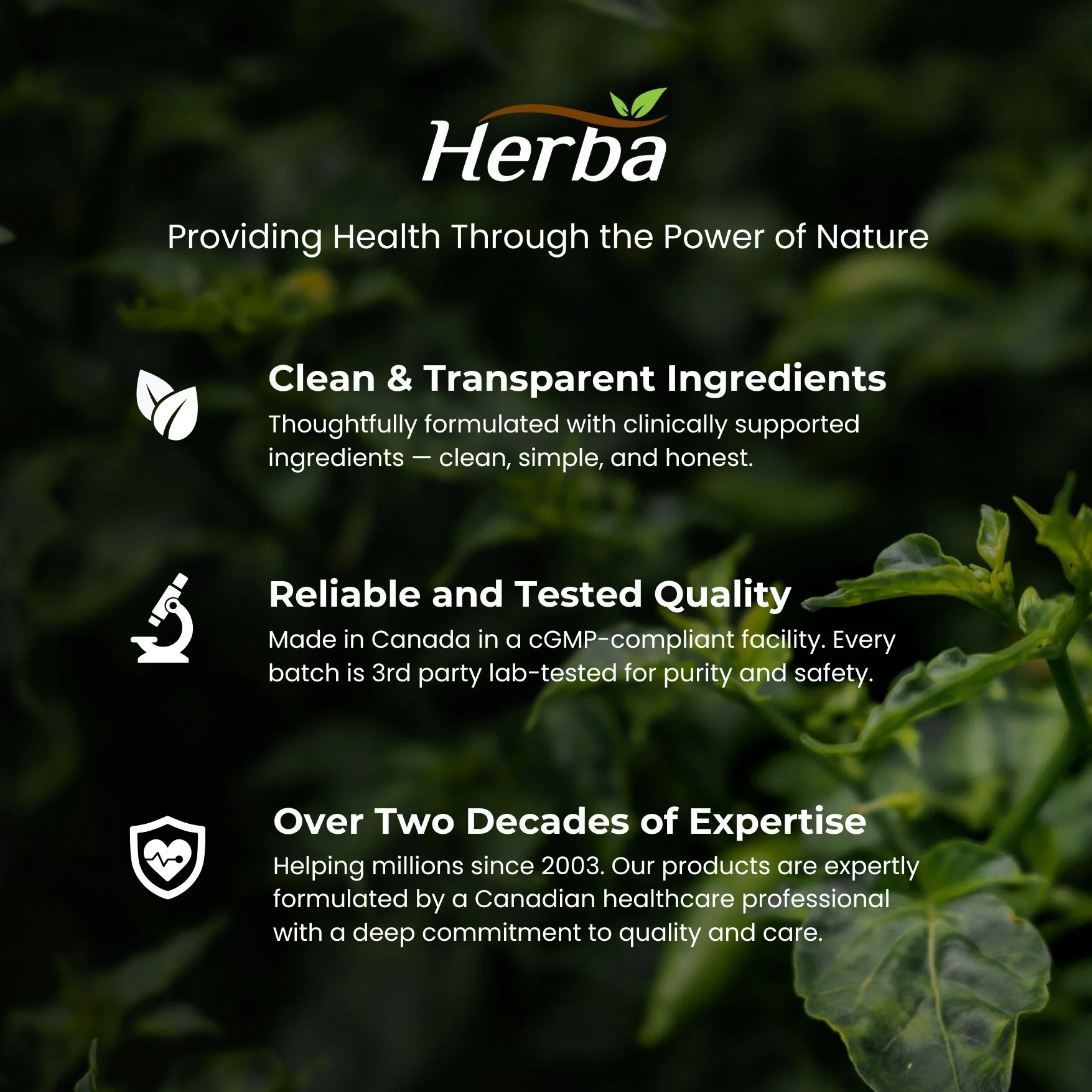 Prostate Max - Prostate Supplement for Men – 120 Capsules | 9 Natural Ingredients - Image 12