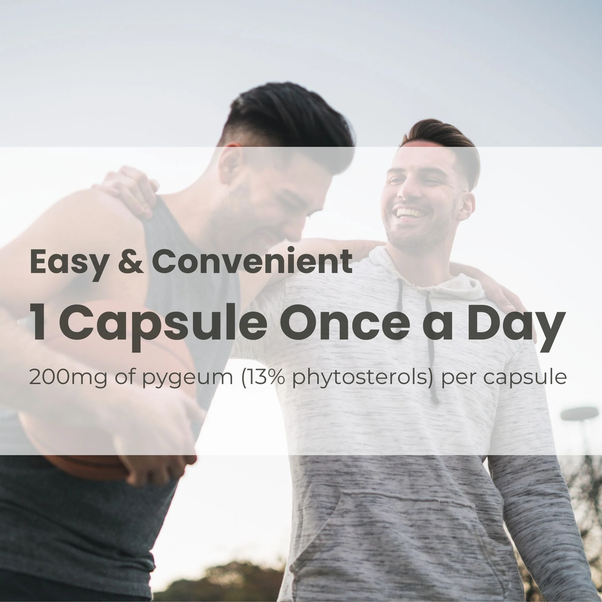 Pygeum Supplement 200mg – 100 Capsules | Made in Canada - Image 5