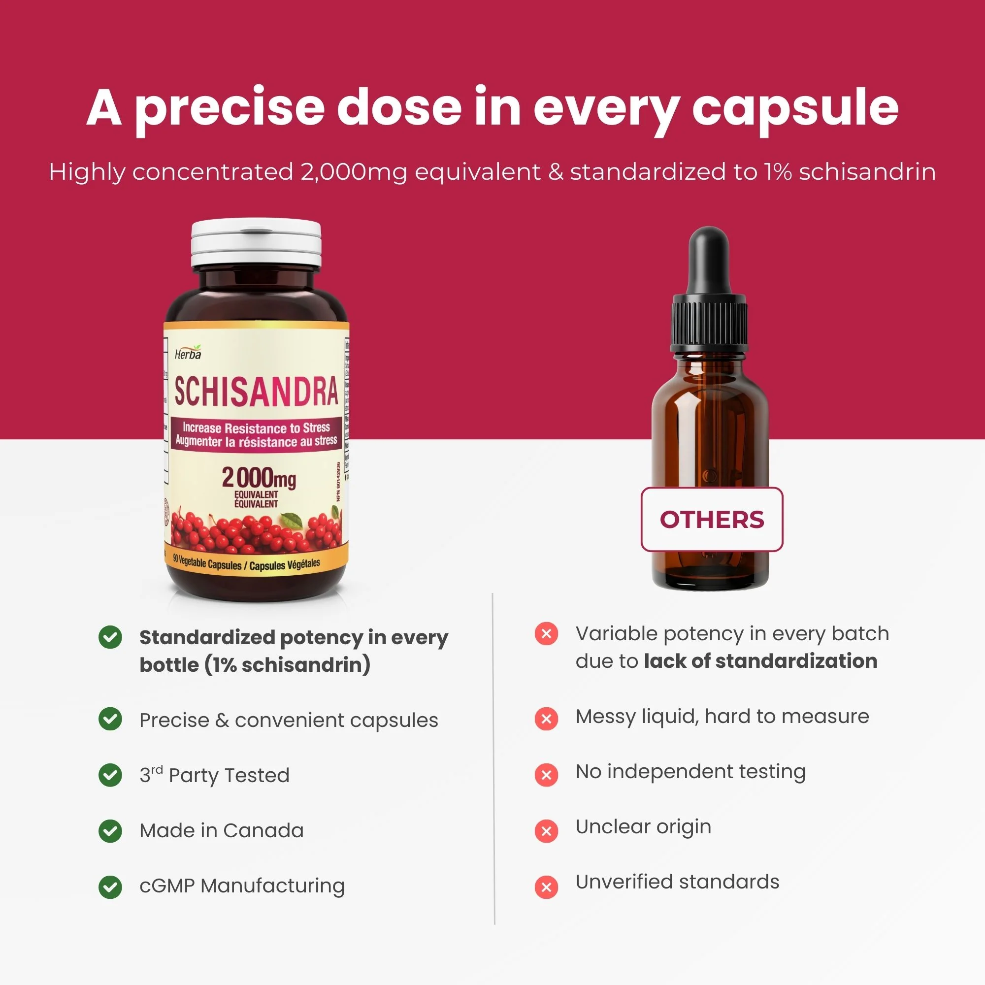 Schisandra Supplement – 90 Capsules | 4:1 Extract – 2,000mg Equivalent Schisandra Berry | Made in Canada - Image 4