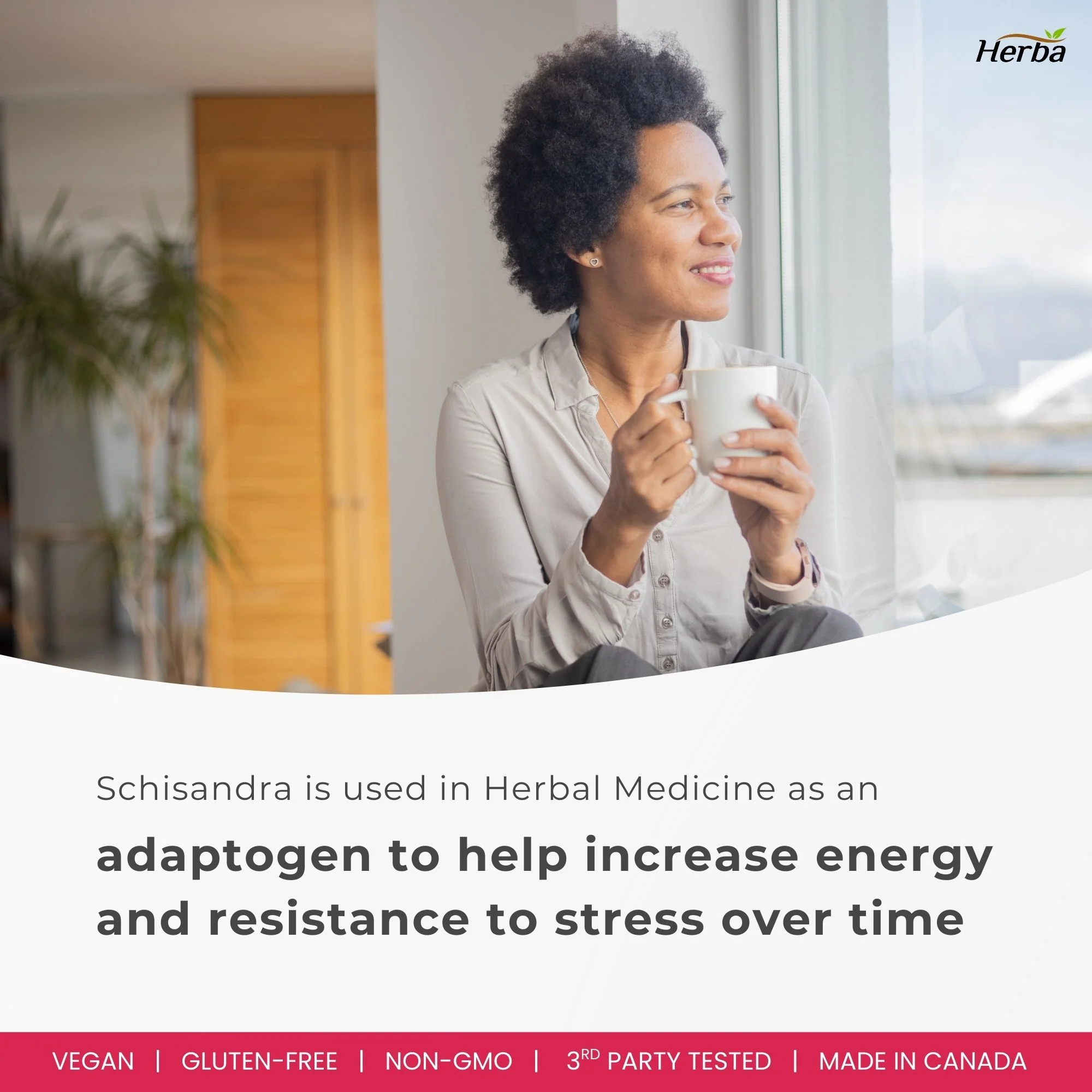 Schisandra Supplement – 90 Capsules | 4:1 Extract – 2,000mg Equivalent Schisandra Berry | Made in Canada - Image 7