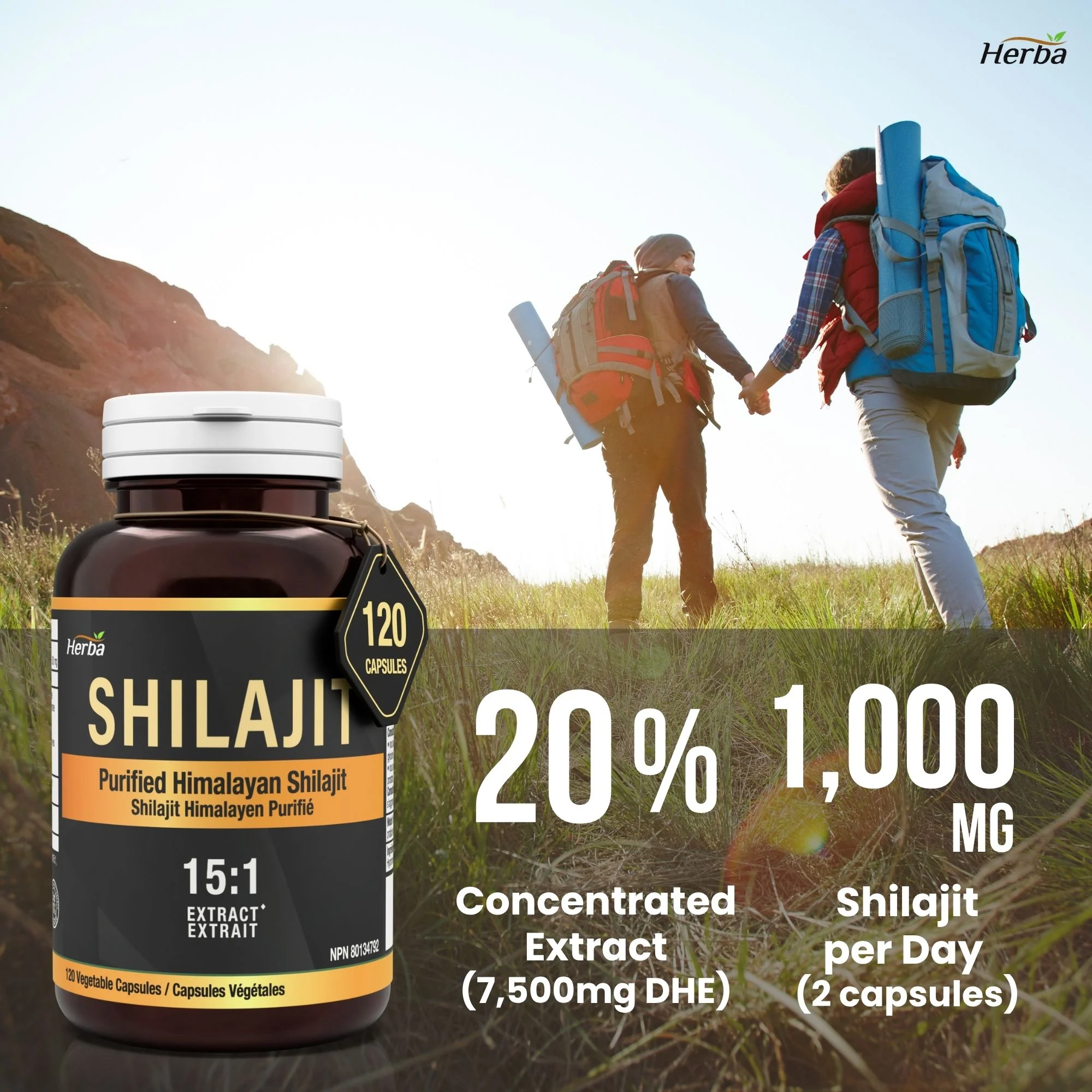 Himalayan Shilajit for Women & Men – 120 Capsules | 1000mg Per Serving (500mg Each) | 15:1 Extract | Fulvic Acid Supplement | Made in Canada - Image 5
