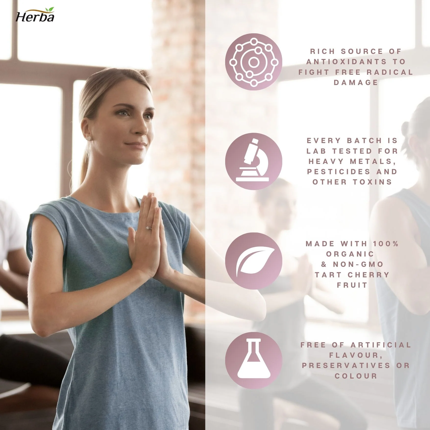 Organic Tart Cherry Extract Capsules – 120 Capsules | 10,000mg Per Day | Made in Canada - Image 5