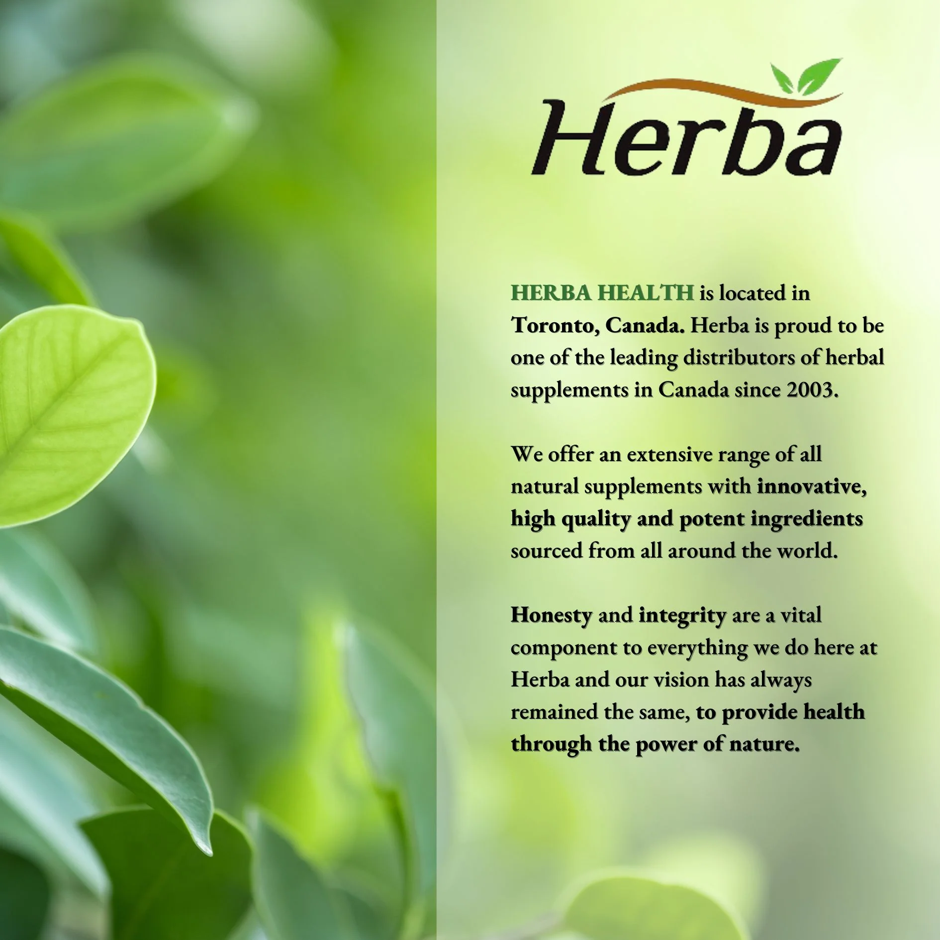 Organic Tart Cherry Extract Capsules – 120 Capsules | 10,000mg Per Day | Made in Canada - Image 7