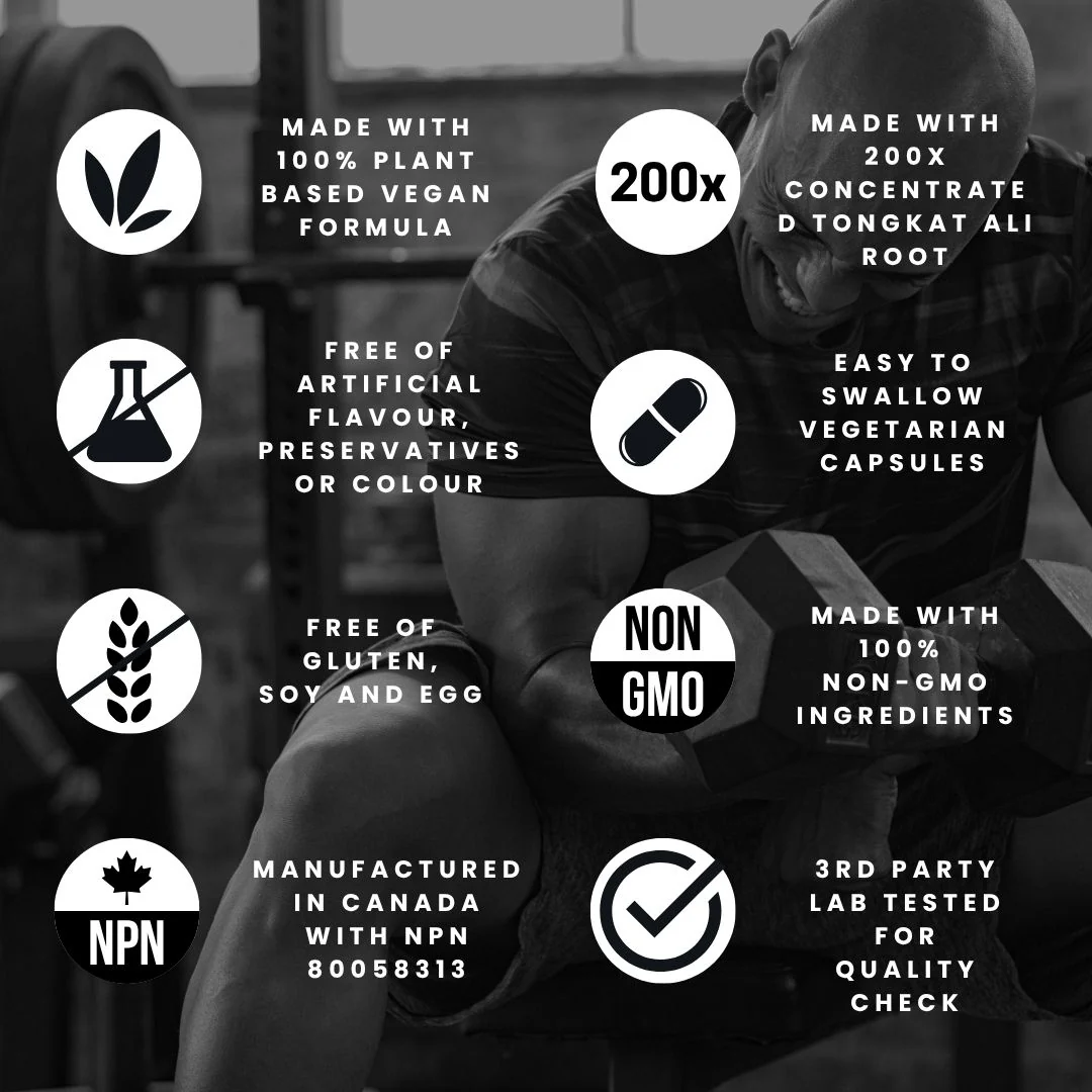 Tongkat Ali Supplement 200:1 - Made in Canada | 120 Capsules | Proprietary Blend including 10,000mg Equivalent of Tongkat Ali Extract - Image 5