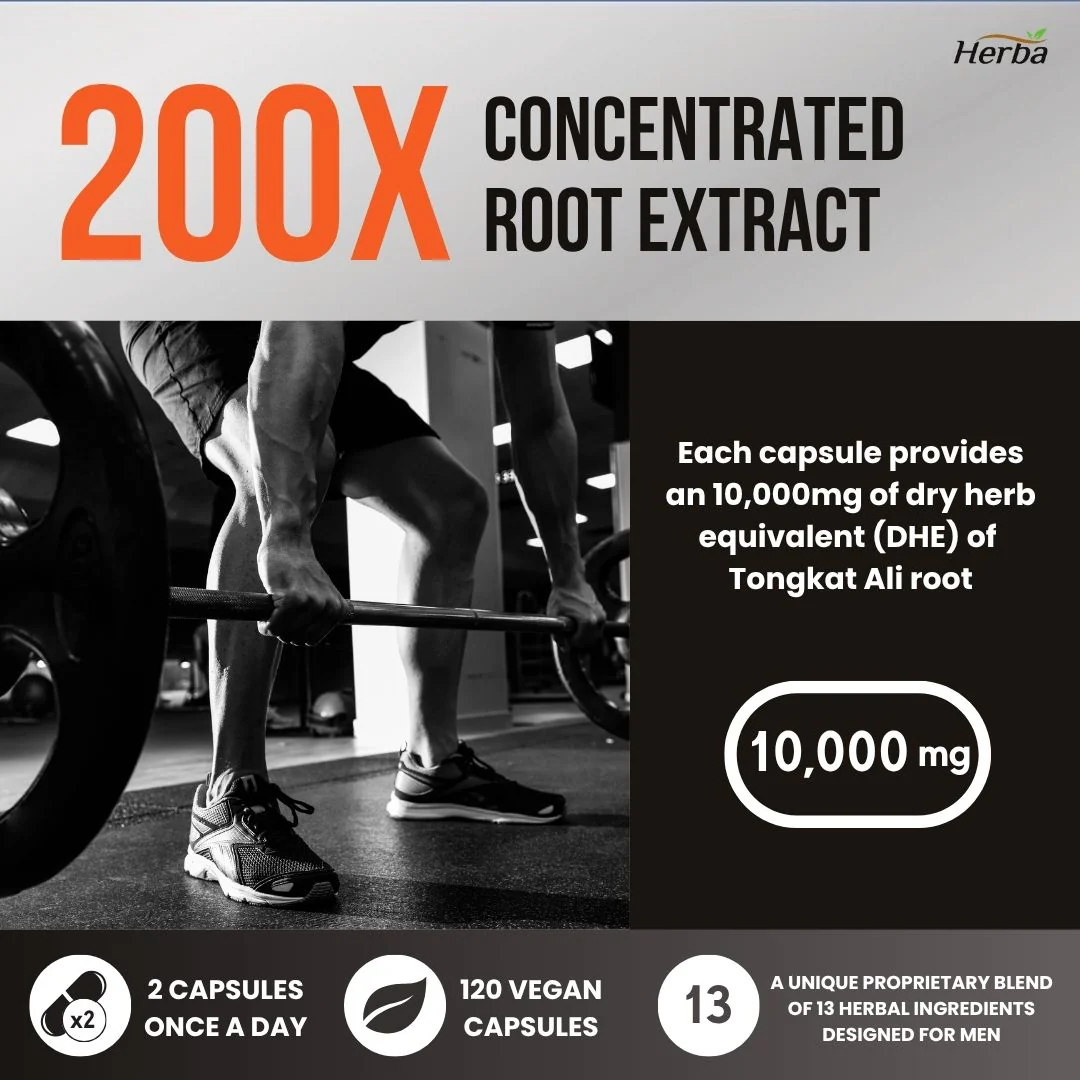 Tongkat Ali Supplement 200:1 - Made in Canada | 120 Capsules | Proprietary Blend including 10,000mg Equivalent of Tongkat Ali Extract - Image 8