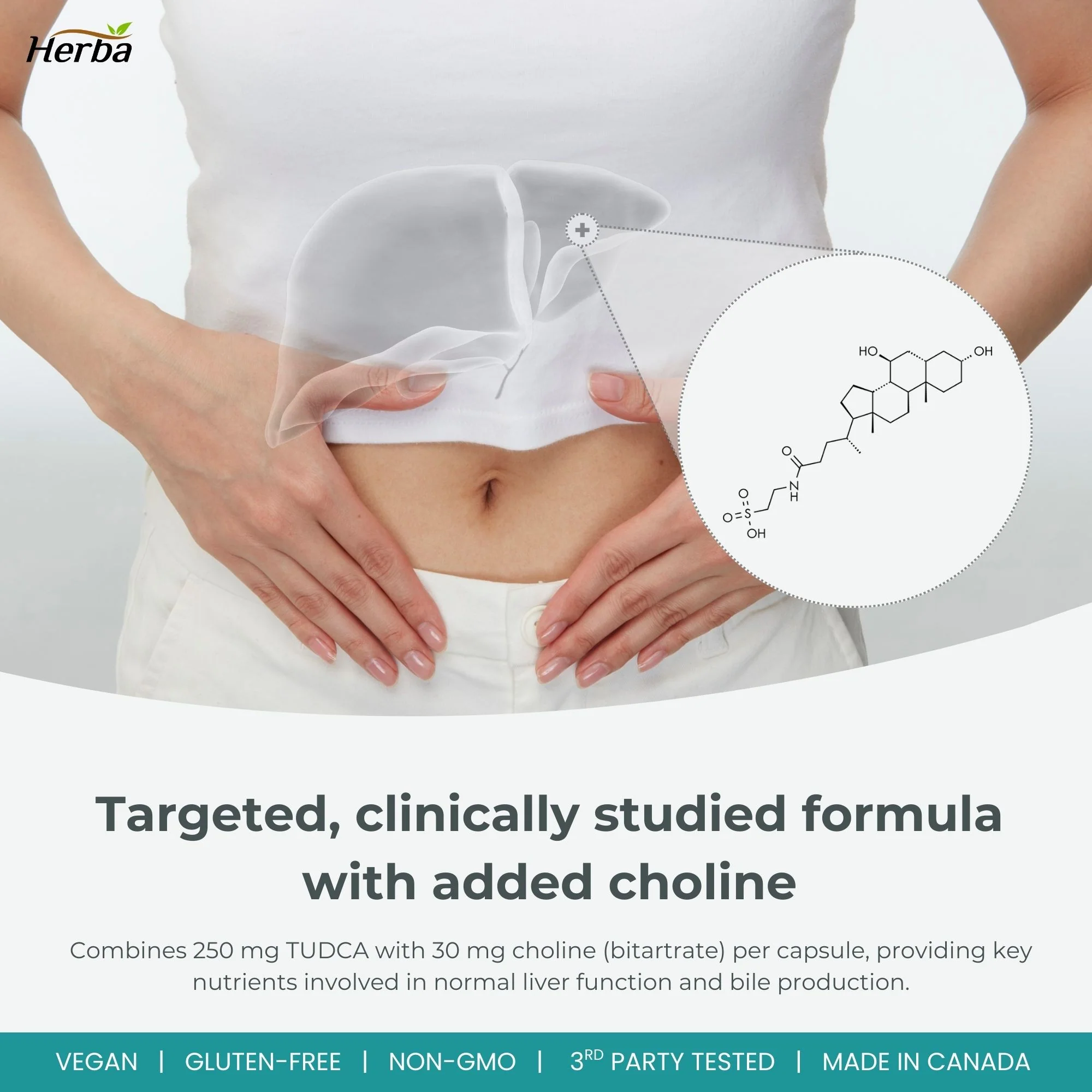 TUDCA Supplement for Liver – 30 Capsules | >98% Purity | Purified Bile Salts Supplements | 250mg TUDCA + Choline | Made in Canada - Image 4